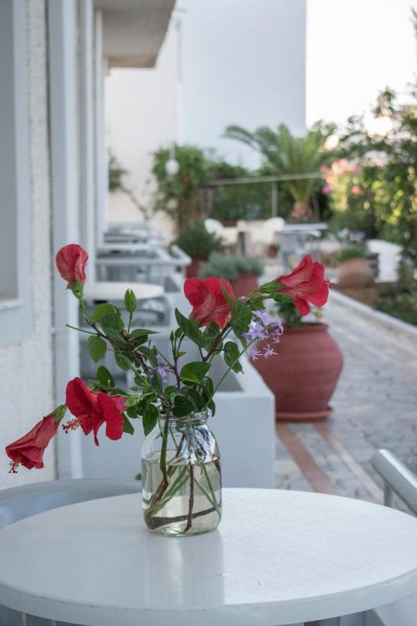 Stefanie Studios Agia Marina المظهر الخارجي الصورة